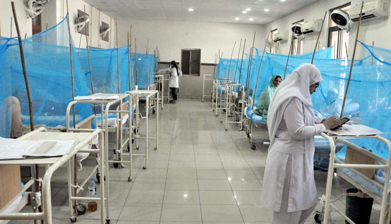 federal-govt-decides-to-investigate-dengue-outbreak