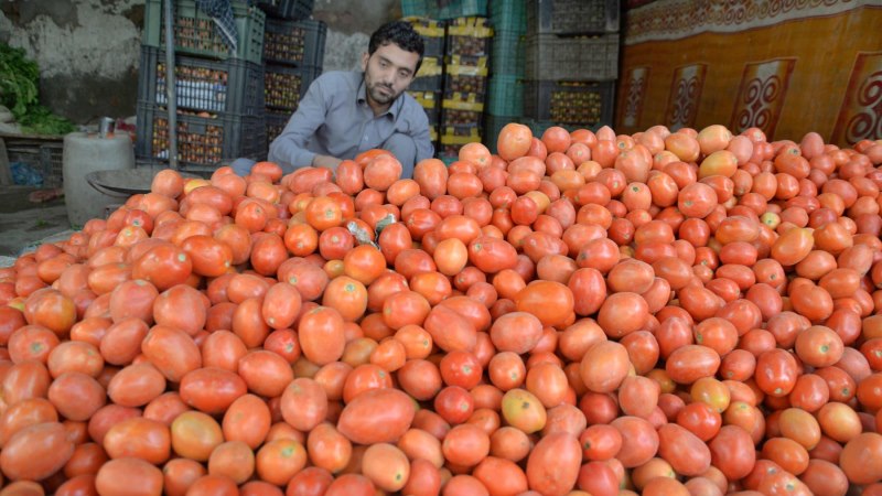 tomato-prices-in-karachi-to-drop-from-today