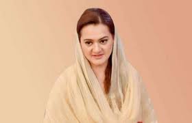 pml-n-asks-pm-to-declare-tax-returns-assets-of-children-spouses