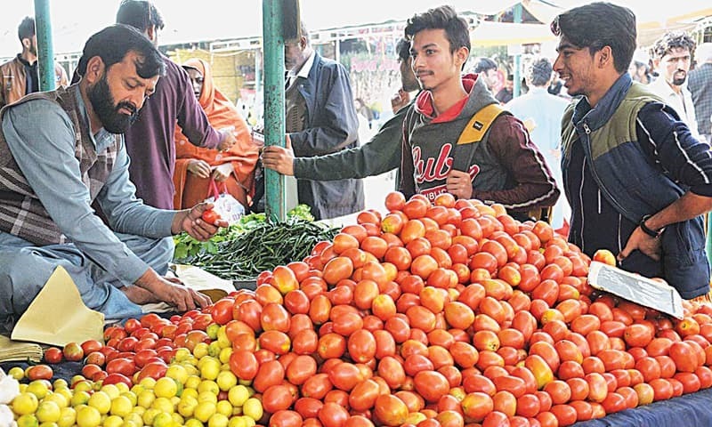 tomato-price-starts-to-fall-in-karachi