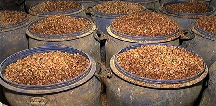 rangers-foil-bid-to-smuggle-betel-nuts-in-jacobabad