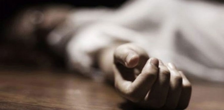 dismembered-83-year-old-woman-found-in-french-freezer