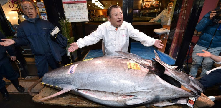 japan-tuna-king-buys-new-year-catch-for-1-8-million