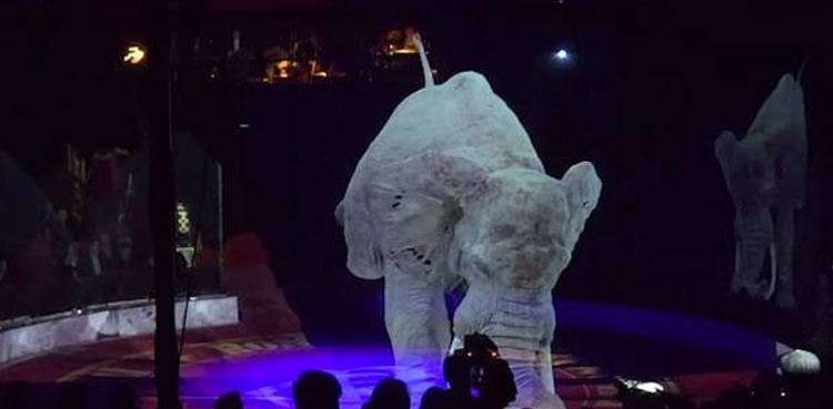 german-circus-swaps-real-animals-for-holograms