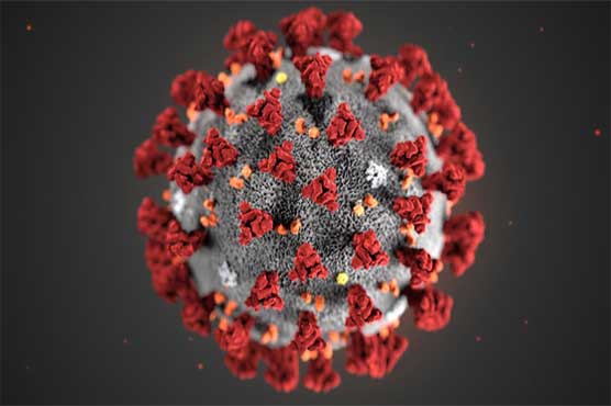 eighteen-countries-are-still-free-of-coronavirus-report