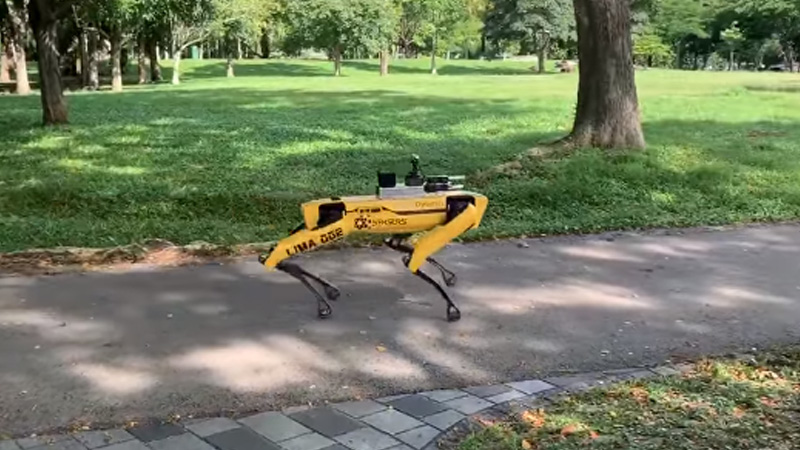 the-dog-like-robot