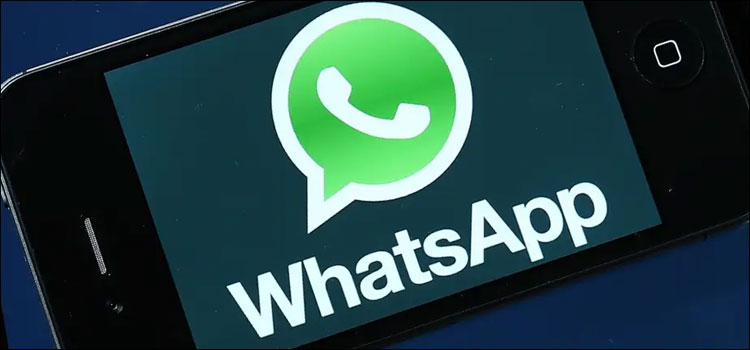 whatsapp-introduces-animated-stickers