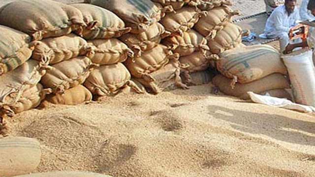 3-600-hoarded-wheat-sacks-recovered-in-punjab