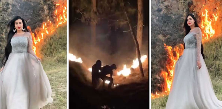 case-filed-against-tiktoker-for-setting-margalla-hills-ablaze
