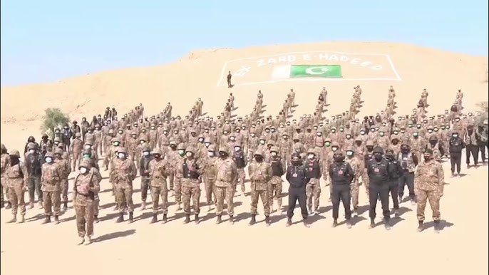 field-marshal-s-egypt-visit-strengthens-pakistan-egypt-defence-and-religious-ties