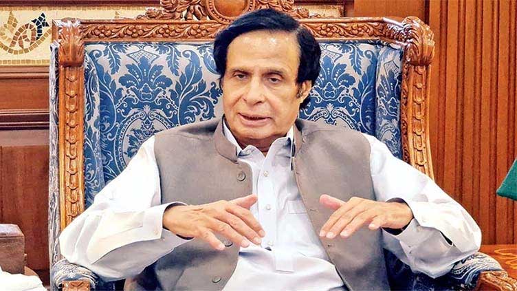 gen-bajwa-advised-us-to-support-pti-cm-elahi-endorses-moonis-remarks