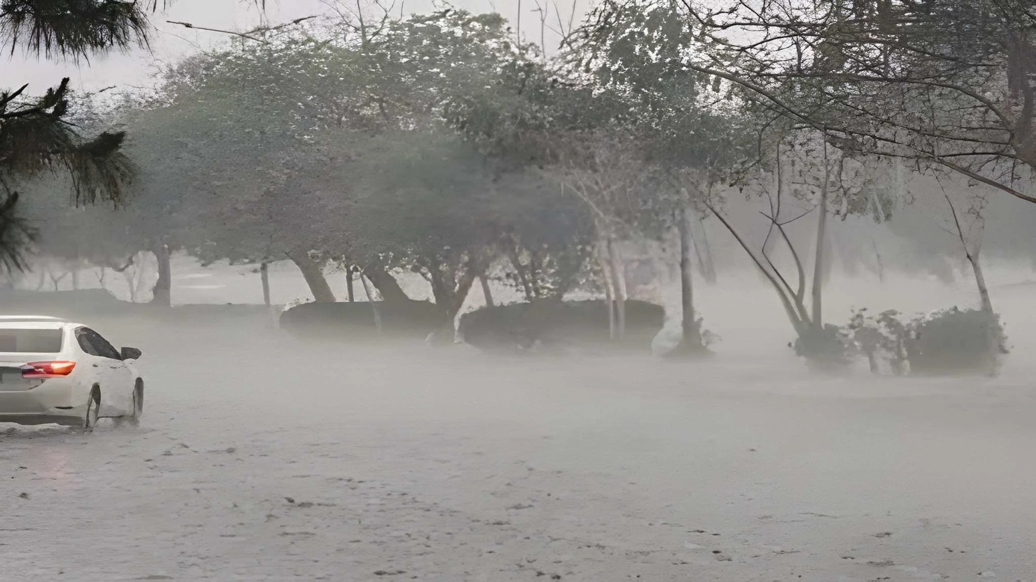 Heavy Rain, Thunderstorms Expected in Upper Parts of Country: PMD
