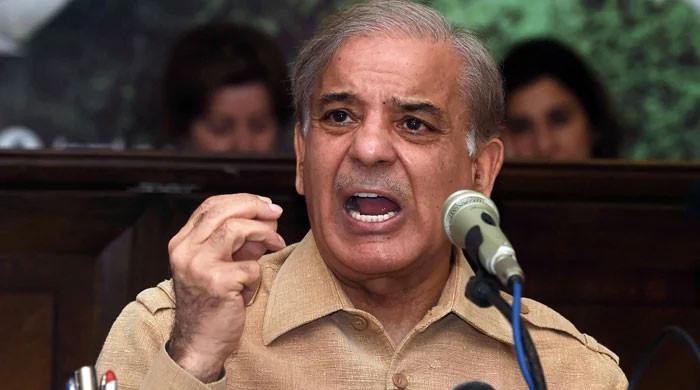 imran-niazi-levelled-allegations-but-couldn-t-prove-anything-says-shehbaz-sharif