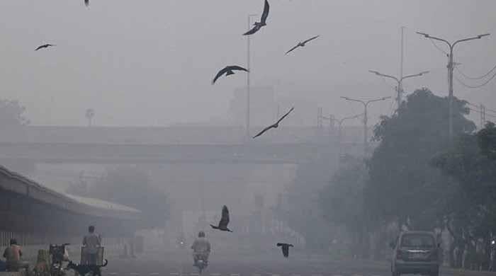 lhc-bans-all-commercial-activities-on-sundays-amid-worsening-smog-crisis