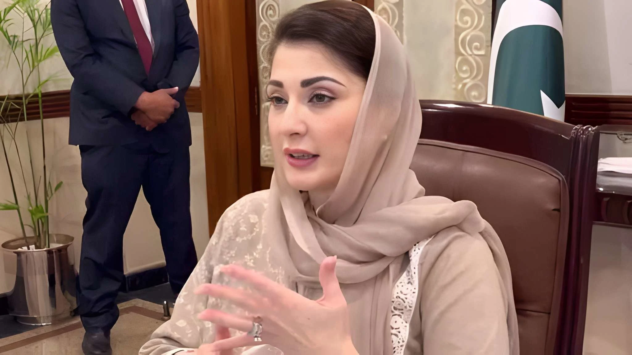 Maryam Says No Differences in PML-N Over New Provinces