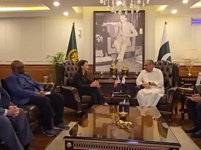 Mohsin Naqvi meets acting US envoy to discuss security arrangements for second Islamabad talks round