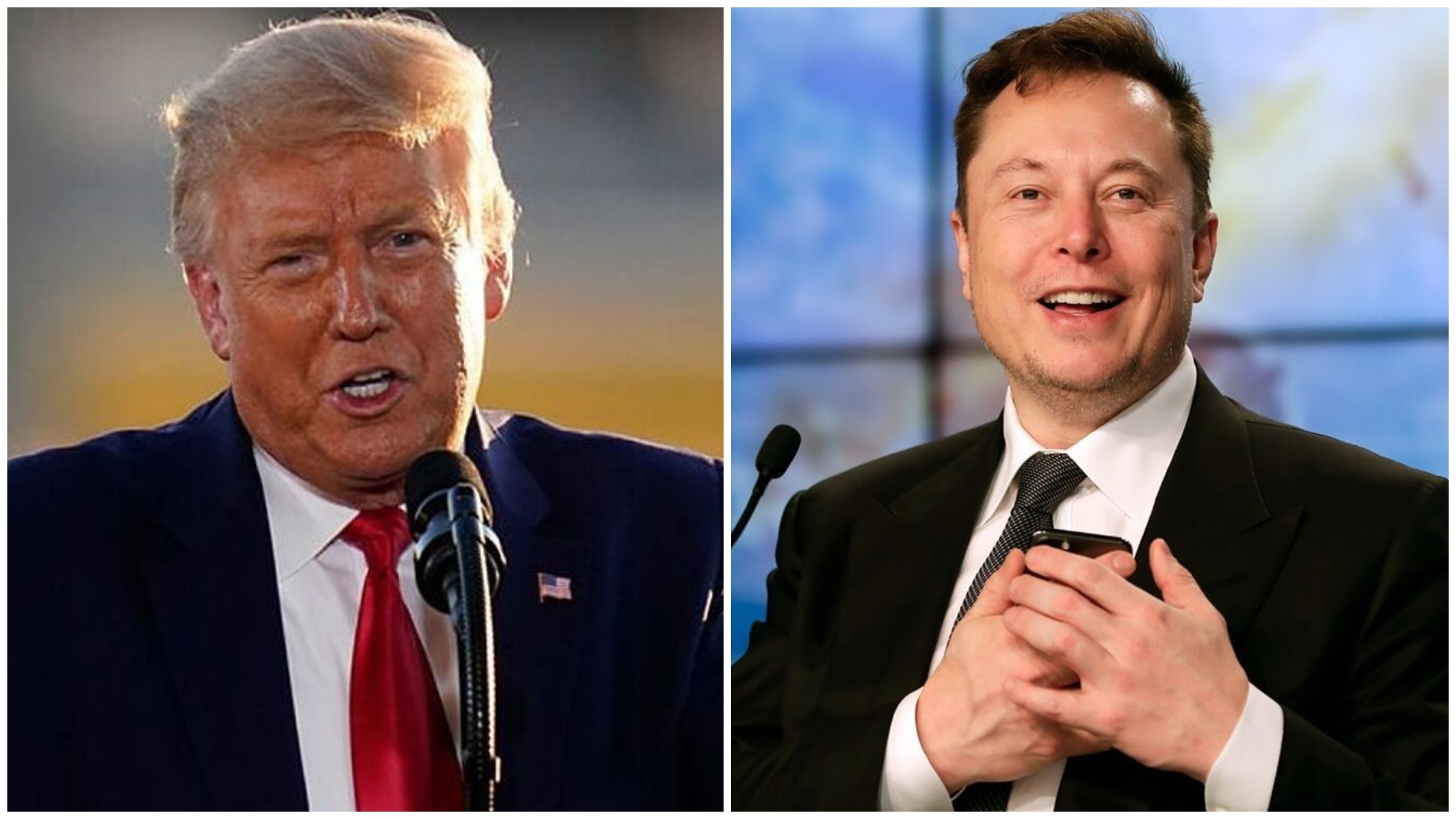 musk-begins-twitter-poll-on-reinstating-trump-s-account