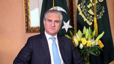 pakistan-deeply-values-its-relations-with-hungary-fm-qureshi