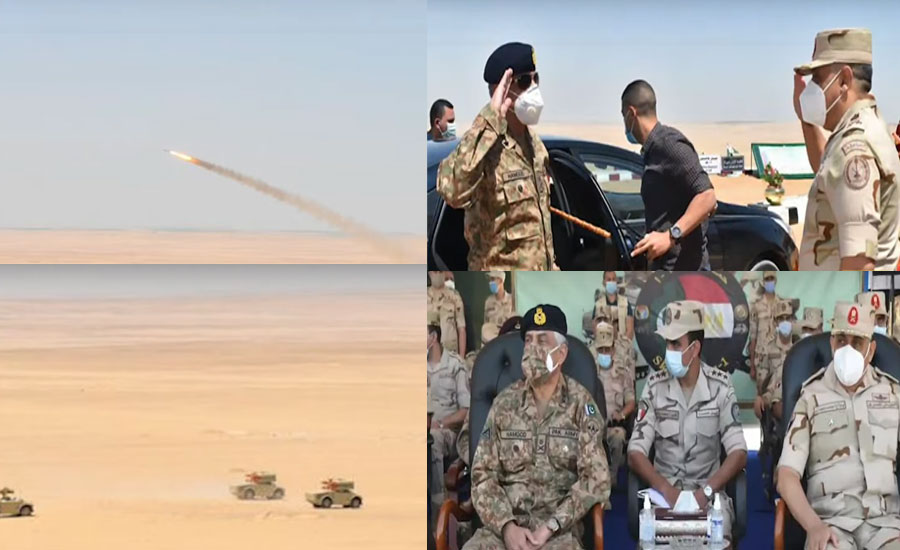pakistan-egypt-joint-air-defence-exercise-sky-guards-1-concludes-in-cairo