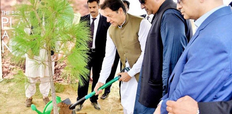 pm-imran-khan-launches-spring-tree-plantation-drive
