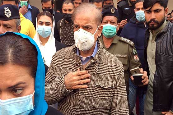 senate-election-ecp-rejects-shehbaz-sharif-s-plea-to-cast-vote-in-lahore