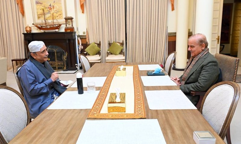 shehbaz-asks-zardari-to-help-reclaim-punjab