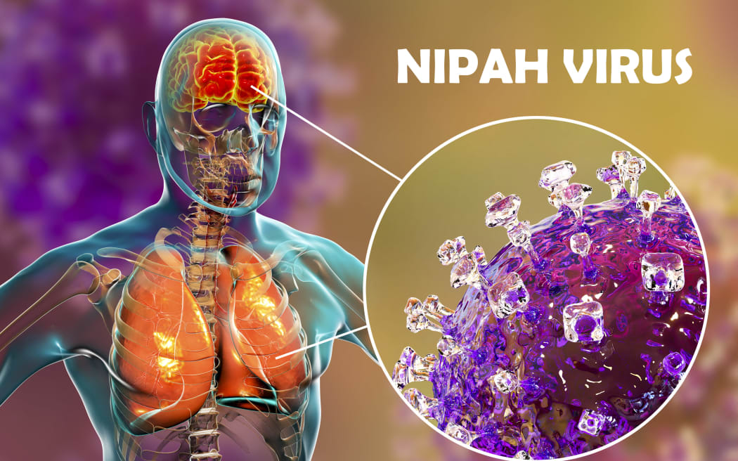 sindh-issues-alert-for-nipah-virus