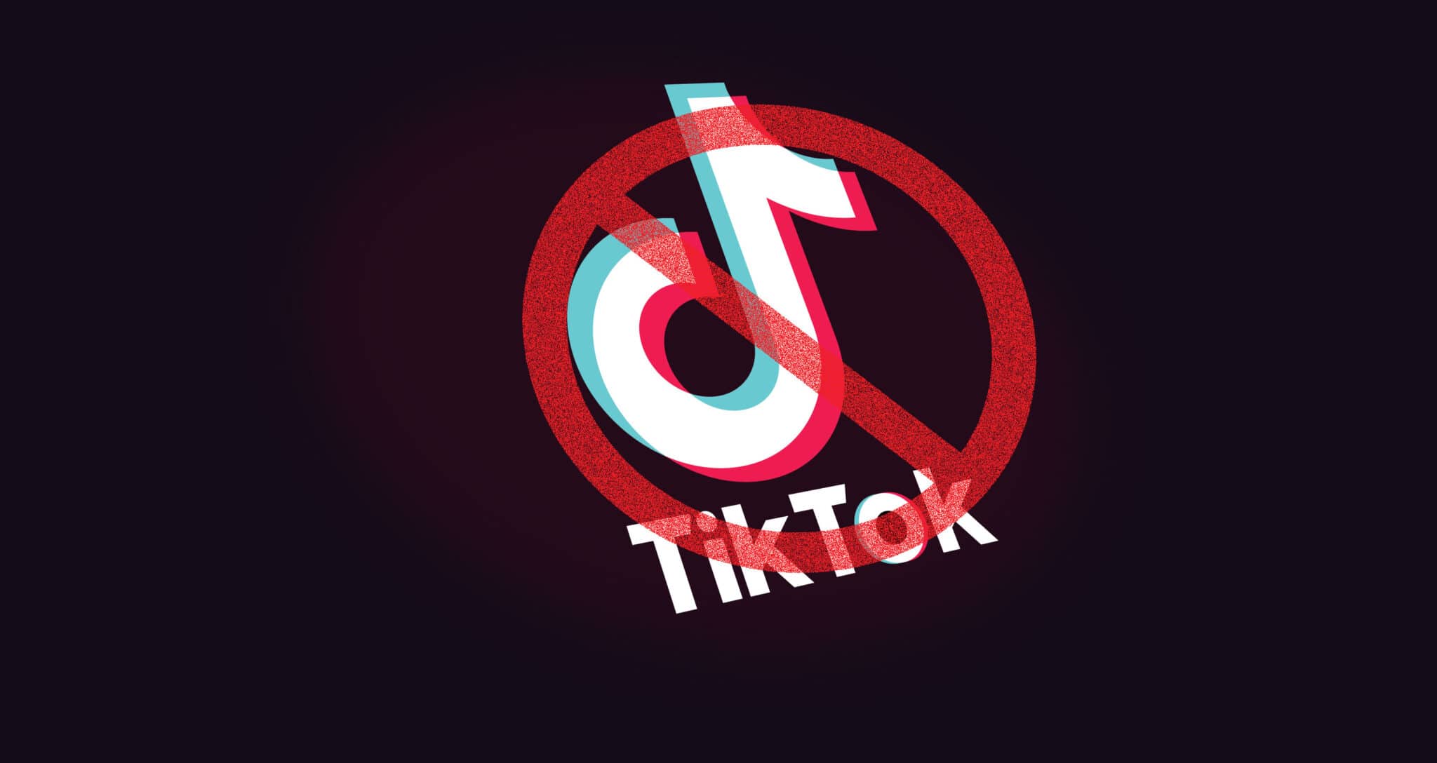 tiktok-to-remain-blocked-until-removal-of-immoral-content-says-phc
