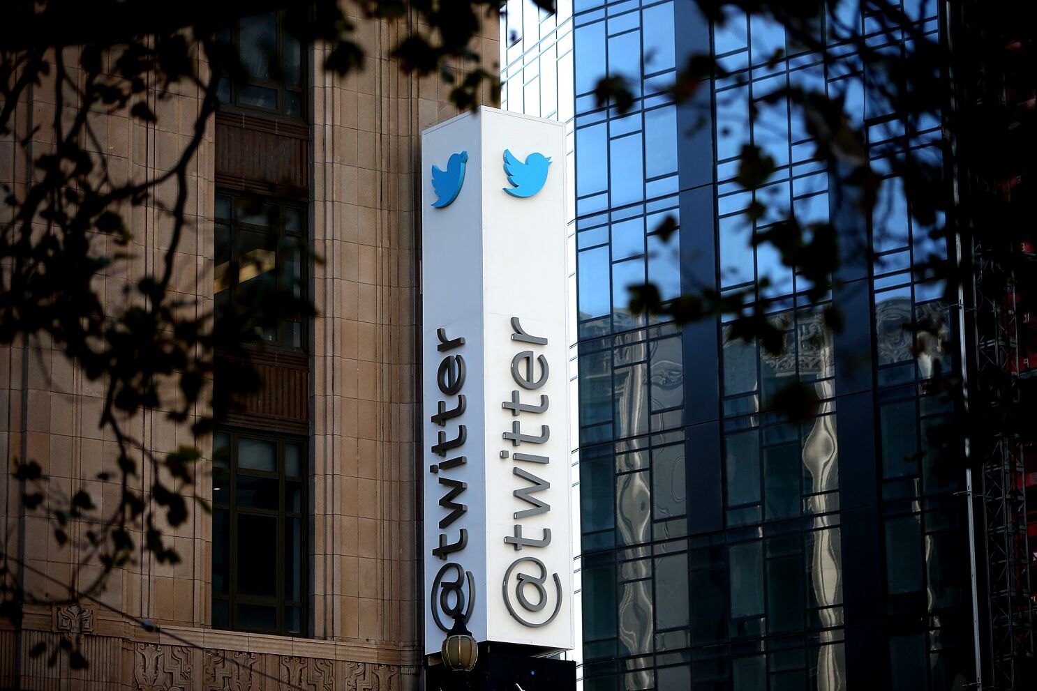 twitter-closes-offices-till-november-21-amidst-mass-resignations