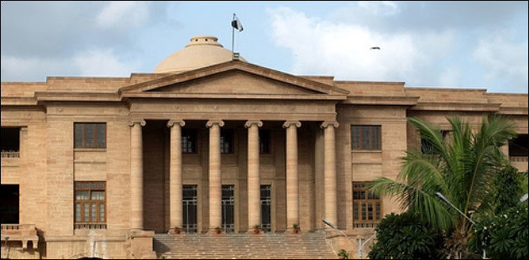 shc-admonishes-igp-sindh-for-delaying-dna-process-in-rape-cases