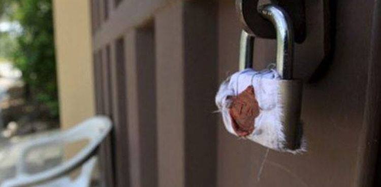 school-in-bannu-sealed