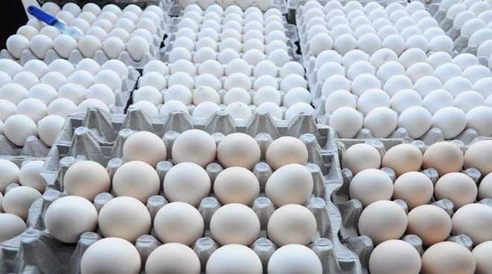 court-dismisses-plea-for-increasing-prices-of-chicken-eggs