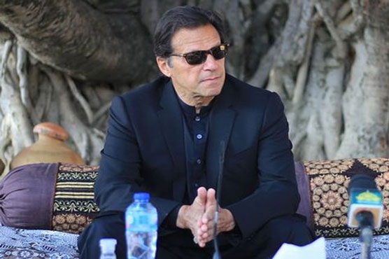 the-opposition-will-cry-foul-if-senate-vote-not-held-through-open-ballot-says-pm