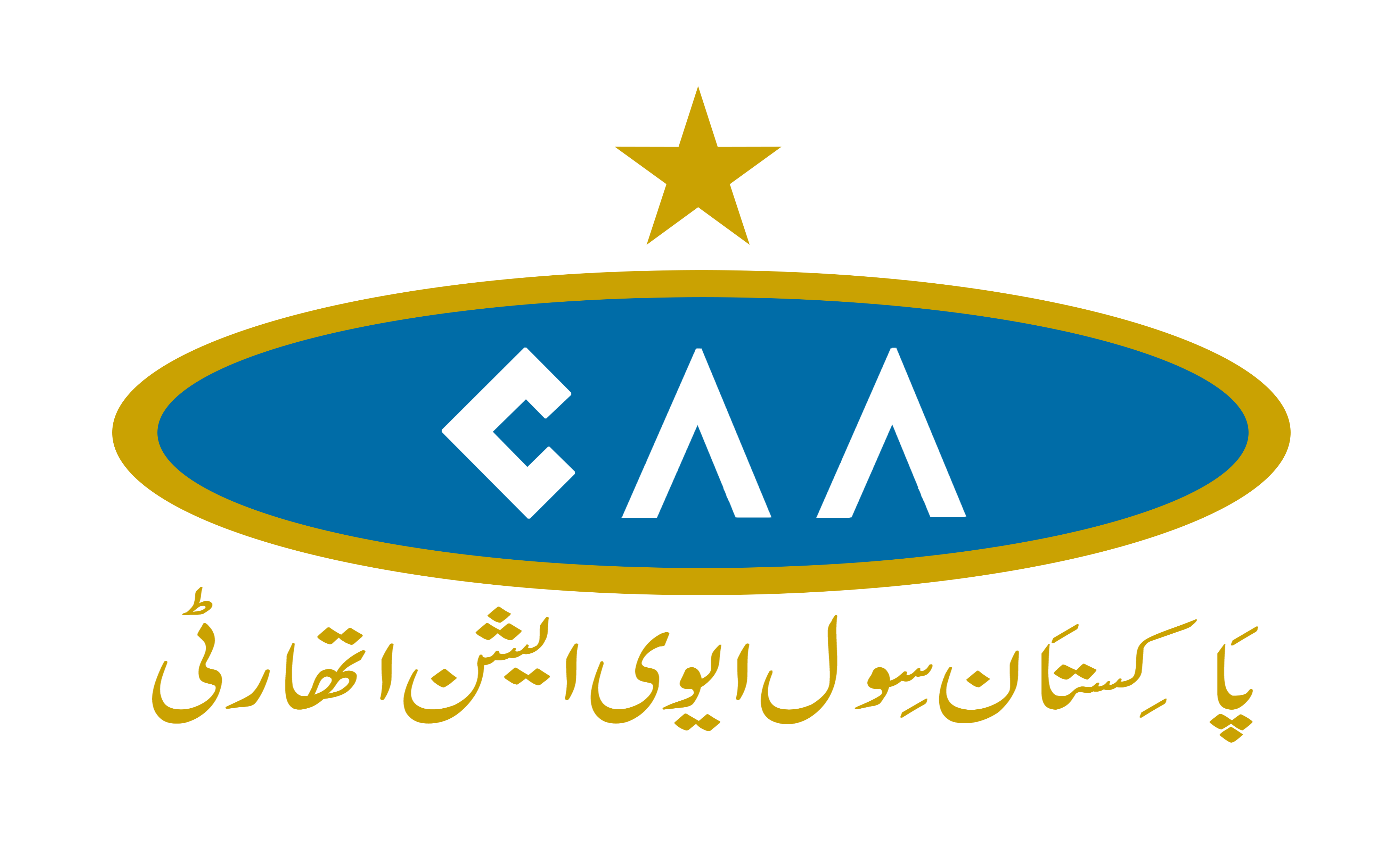 caa-bans-serving-meals-on-domestic-flights
