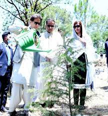 govt-s-ten-billion-tree-tsunami-project-acknowledged-across-world-pm