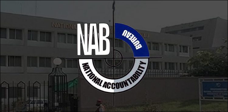 nab-seeks-time-to-file-supplementary-reference-in-karkey-rental-power-case
