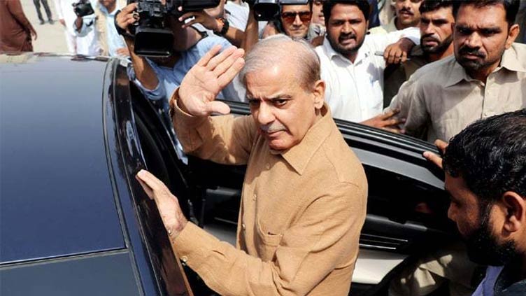 pm-shehbaz-gets-permanent-exemption-from-appearance-in-money-laundering-case