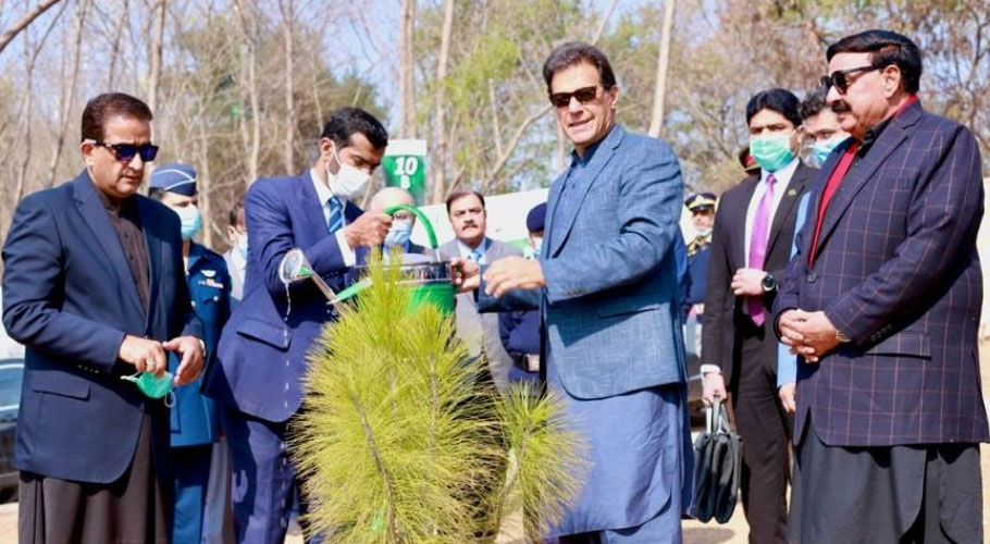 pm-to-inaugurate-world-s-biggest-miyawaki-urban-forest-in-lahore