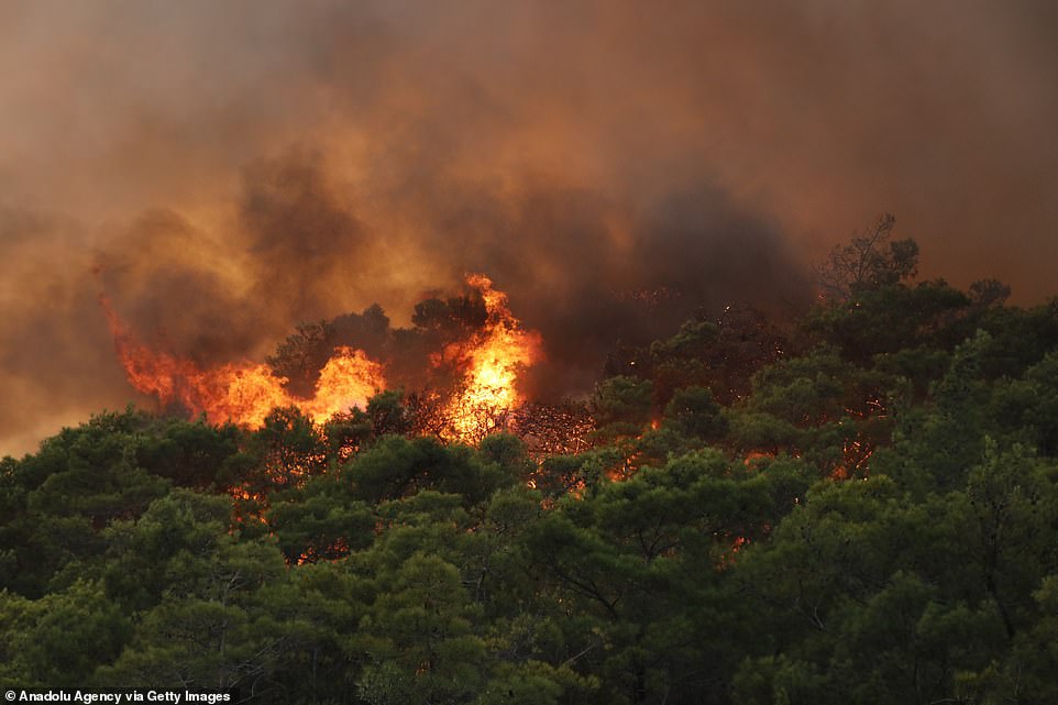 terrible-wildfires-rage-through-turkey-s-south-forcing-evacuations