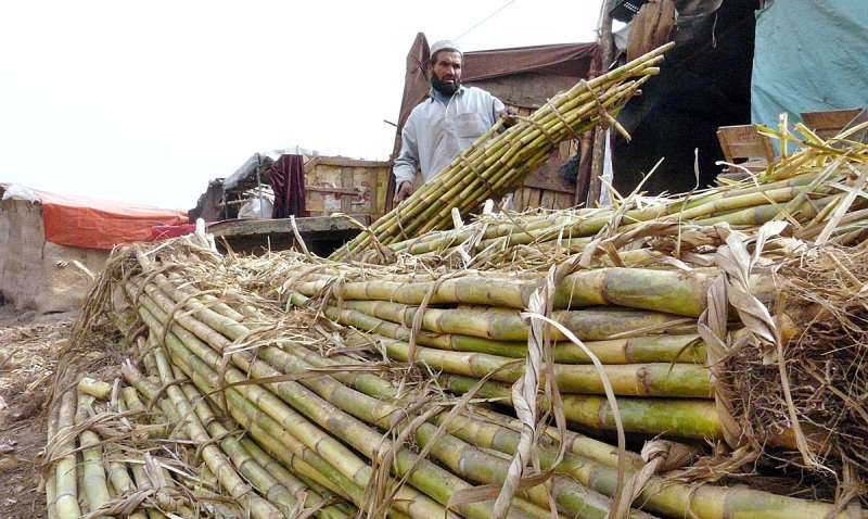 third-punjab-minister-summoned-to-explain-sugar-subsidies