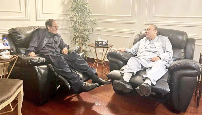 zardari-meets-shujaat-in-last-ditch-effort-ahead-of-punjab-cm-election