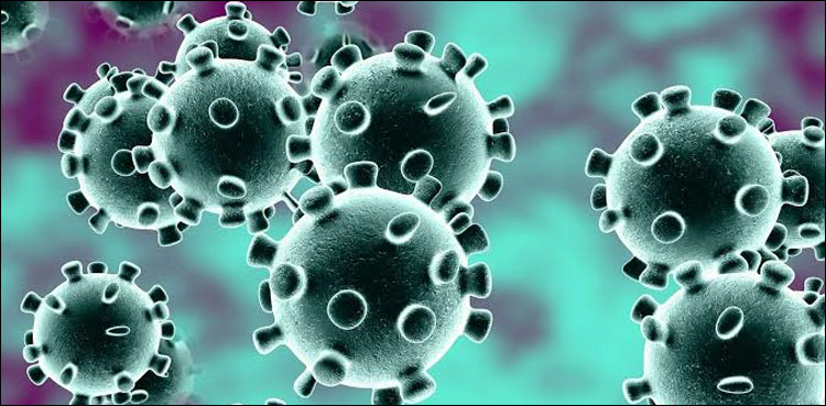 the-us-pledges-1-bn-for-coronavirus-vaccine-as-risks-grow